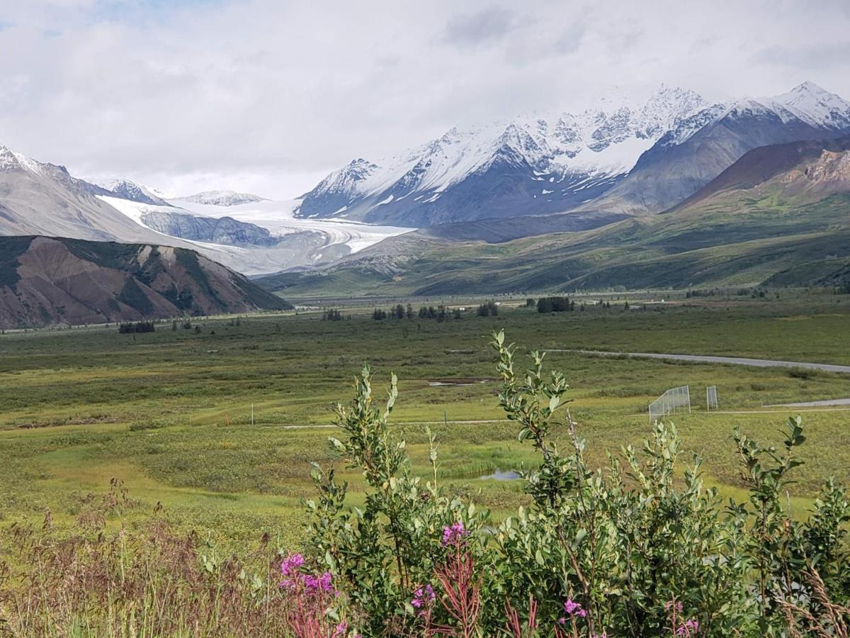 Denali Wild Stay - Moose Cabin, Free Wifi, 2 Private Bedrooms, Sleep 6 Healy Eksteriør bilde