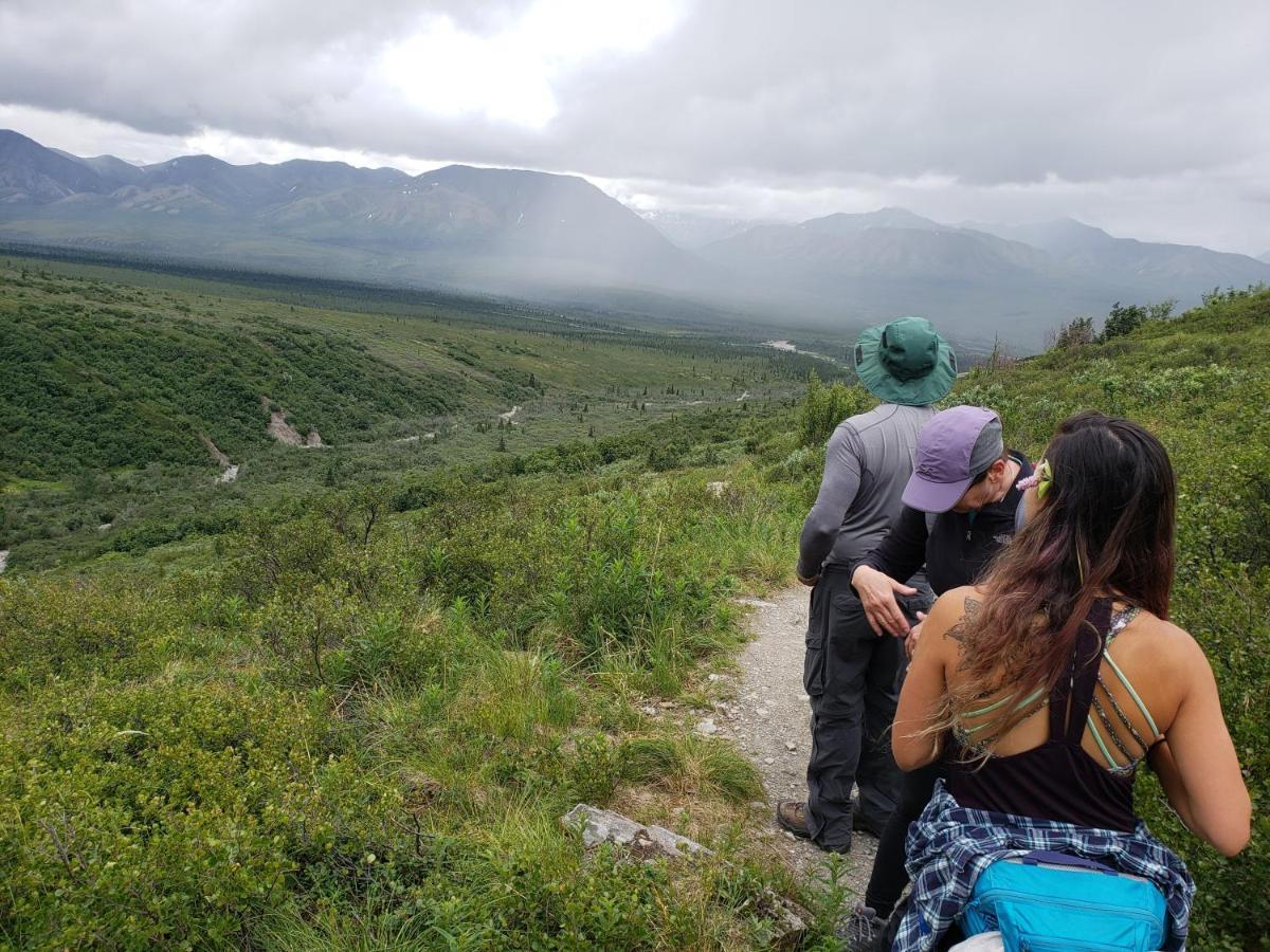 Denali Wild Stay - Moose Cabin, Free Wifi, 2 Private Bedrooms, Sleep 6 Healy Eksteriør bilde