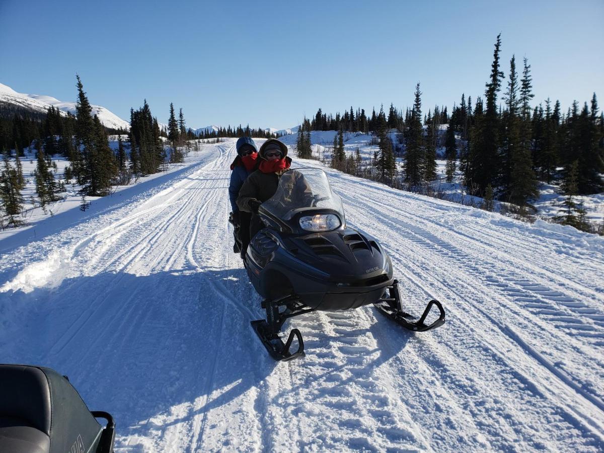 Denali Wild Stay - Moose Cabin, Free Wifi, 2 Private Bedrooms, Sleep 6 Healy Eksteriør bilde