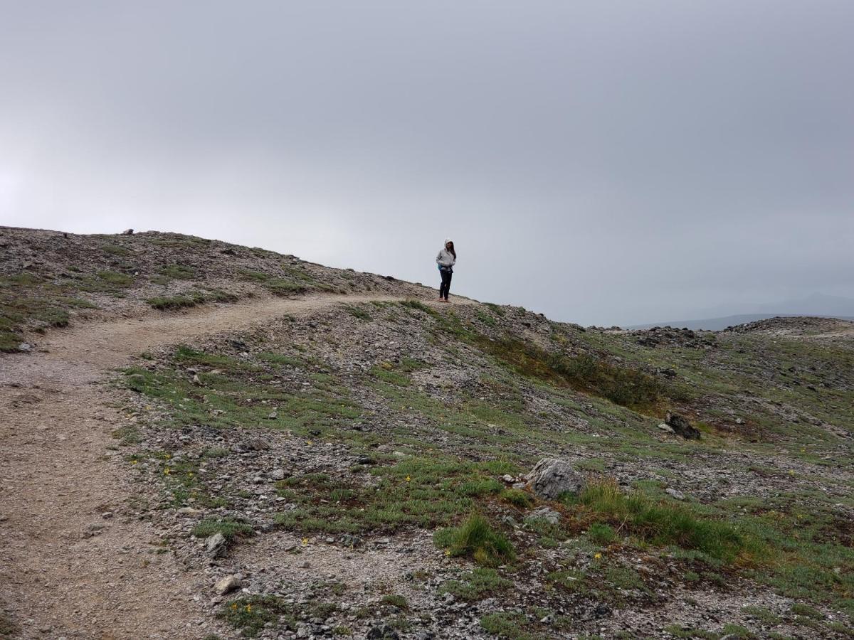 Denali Wild Stay - Moose Cabin, Free Wifi, 2 Private Bedrooms, Sleep 6 Healy Eksteriør bilde