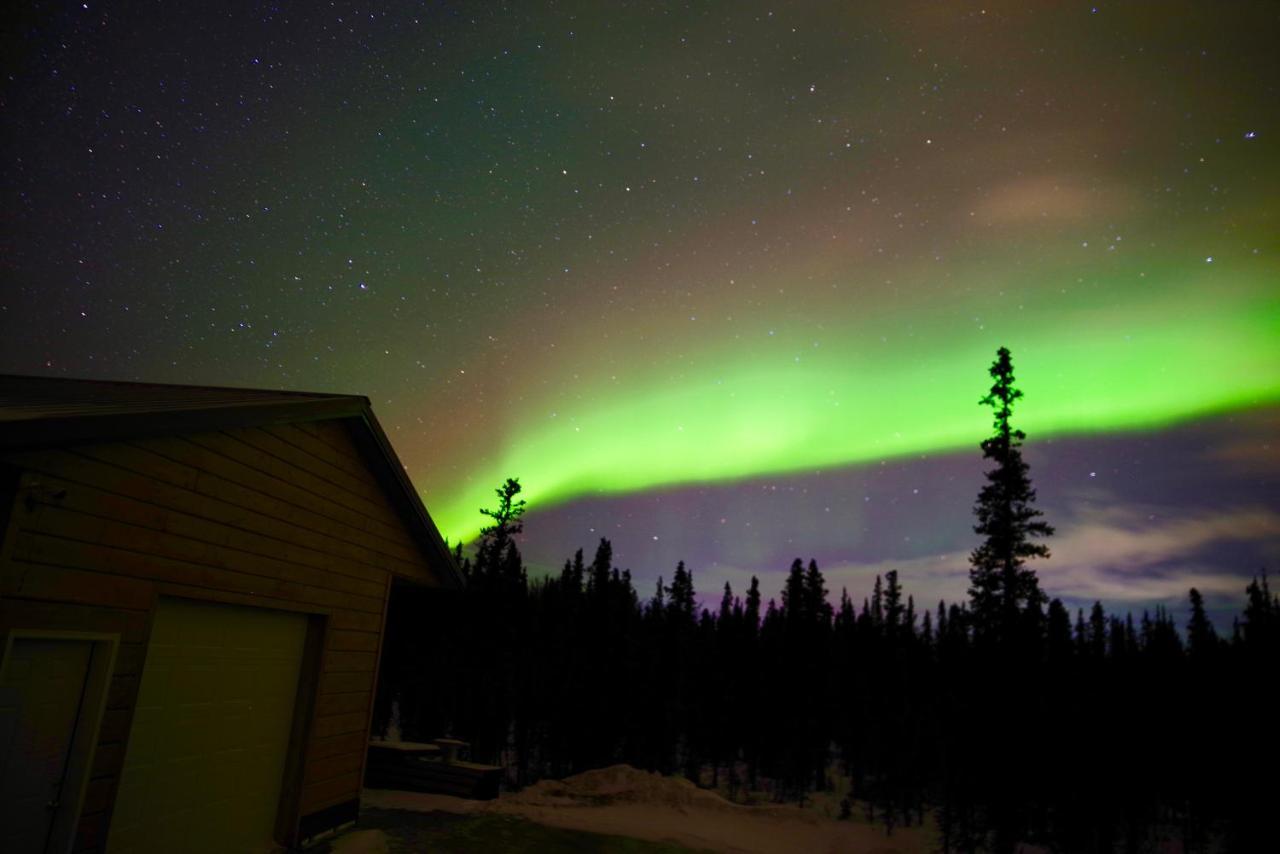 Denali Wild Stay - Moose Cabin, Free Wifi, 2 Private Bedrooms, Sleep 6 Healy Eksteriør bilde